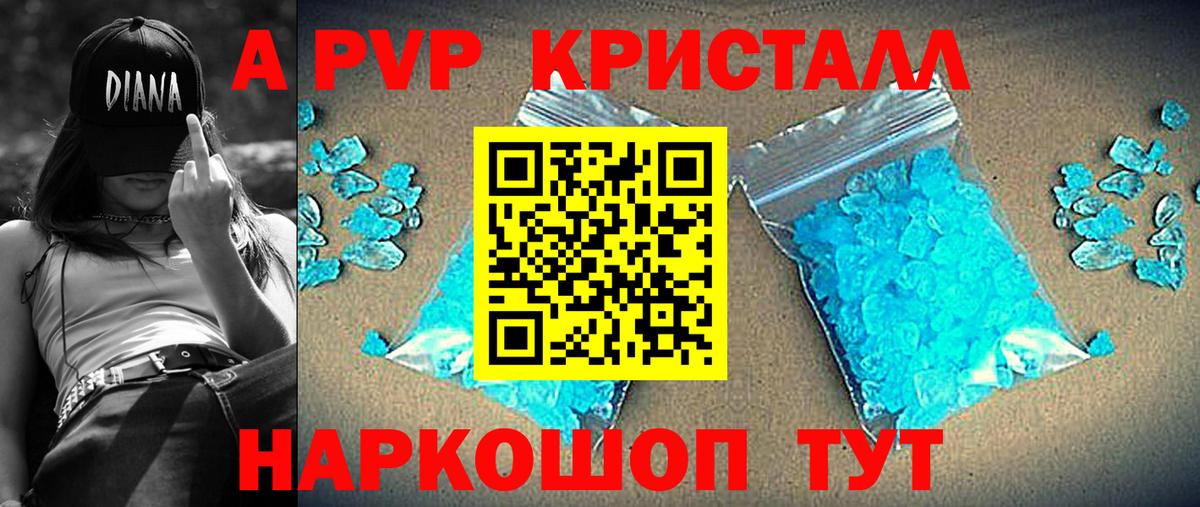 Альфа ПВП СК Урус-Мартан