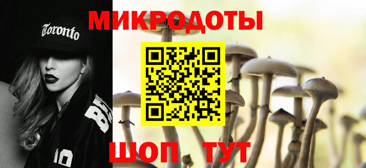 Урус-Мартан  Псилоцибиновые грибы Magic Shrooms  магазин продажи наркотиков  Вход с VPN  Галлюциногенные грибы Cubensis 